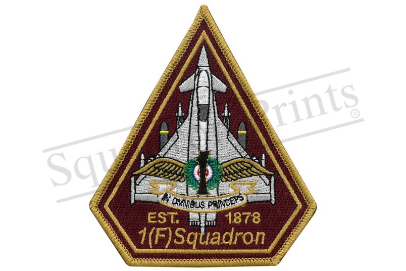 1(F) Squadron Friday Patch (Stormshadow)