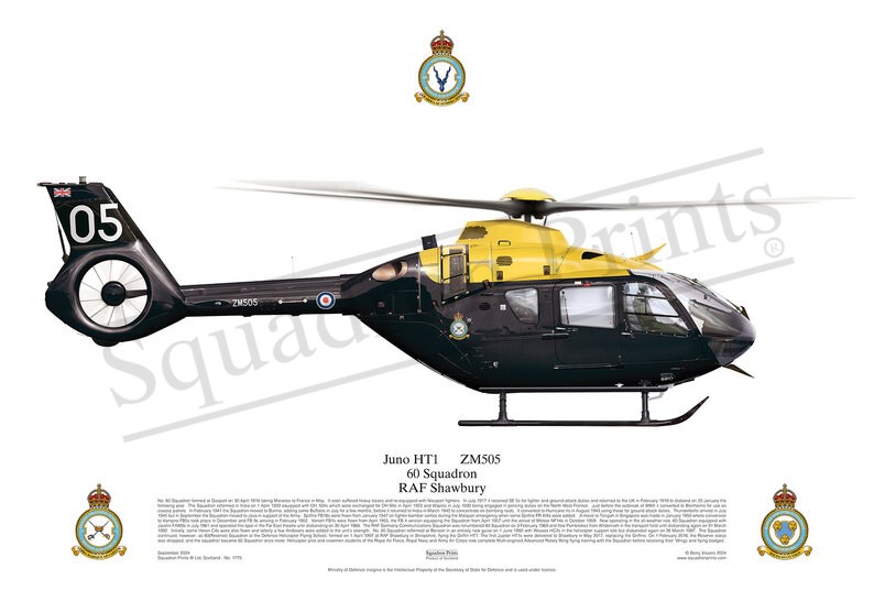 60 Sqn, Juno HT1 print