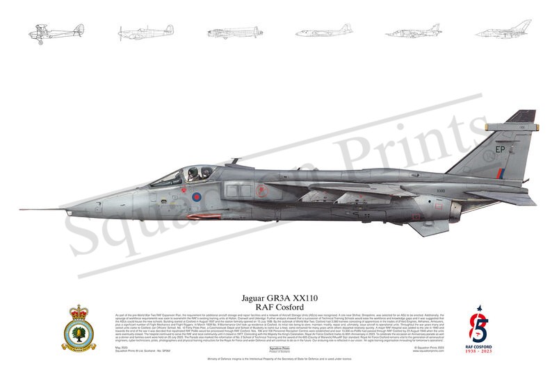 85th Anniversary RAF Cosford print