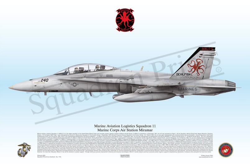 MALS-11 F/A-18D Hornet print