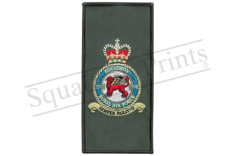 SALE 207 Sqn badge FACS Lightning