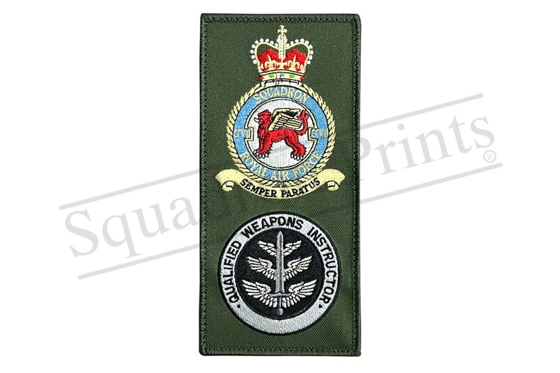 SALE 207 Sqn QWI badge FACS Lightning