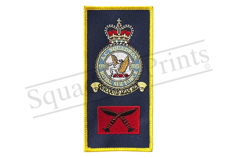 SALE 28 AC Squadron FACS  Chinook Puma Patch 