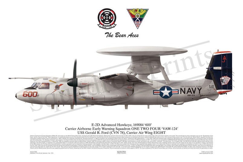 VAW-124 E-2D Advanced Hawkeye print