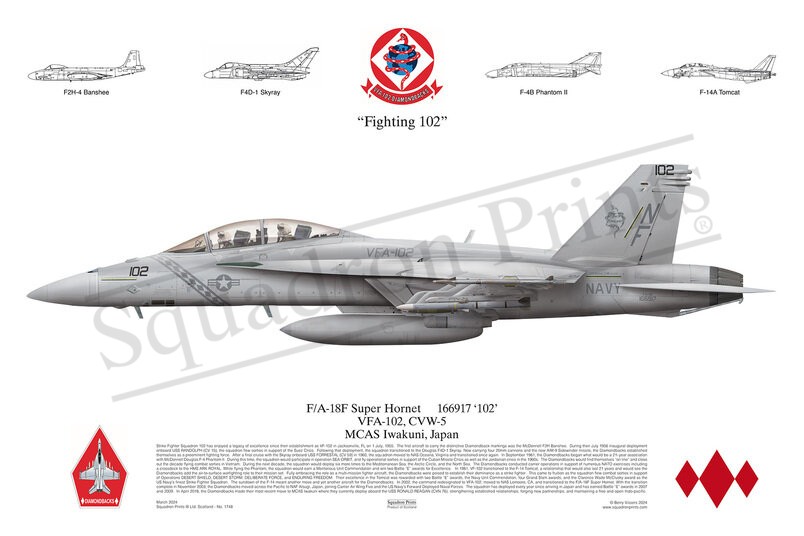 VFA-102 F/A-18F Super Hornet print