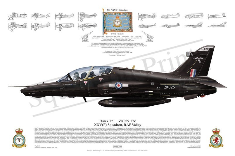 XXV(F) Sqn Hawk T2 print