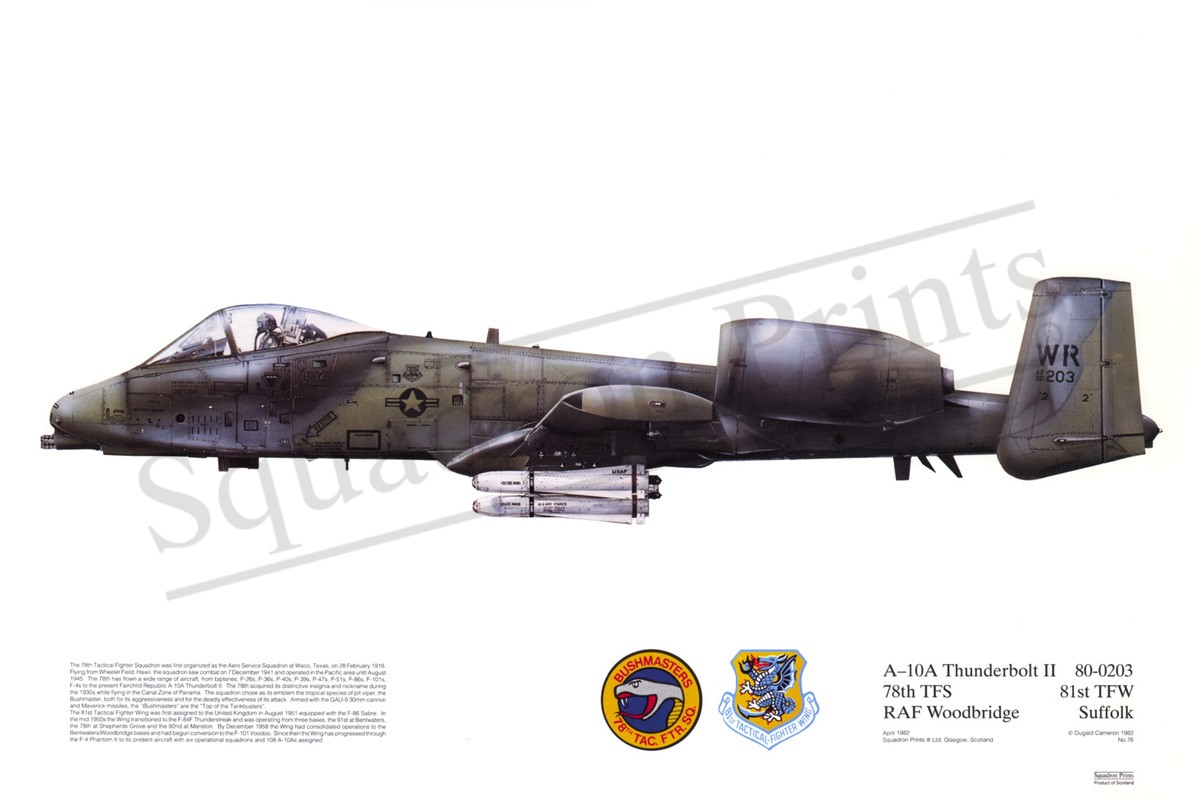 A-10A Thunderbolt II - Print | Squadron Prints