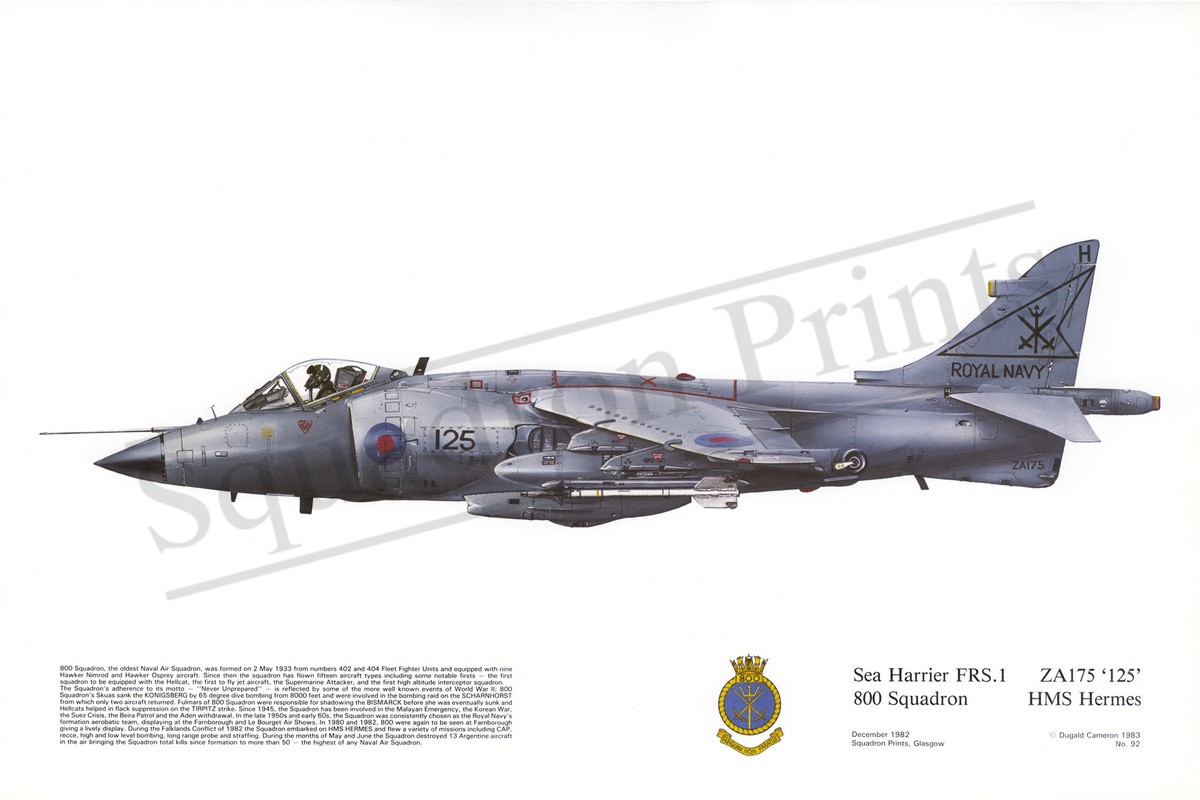 Sea Harrier FRS1 - Print | Squadron Prints