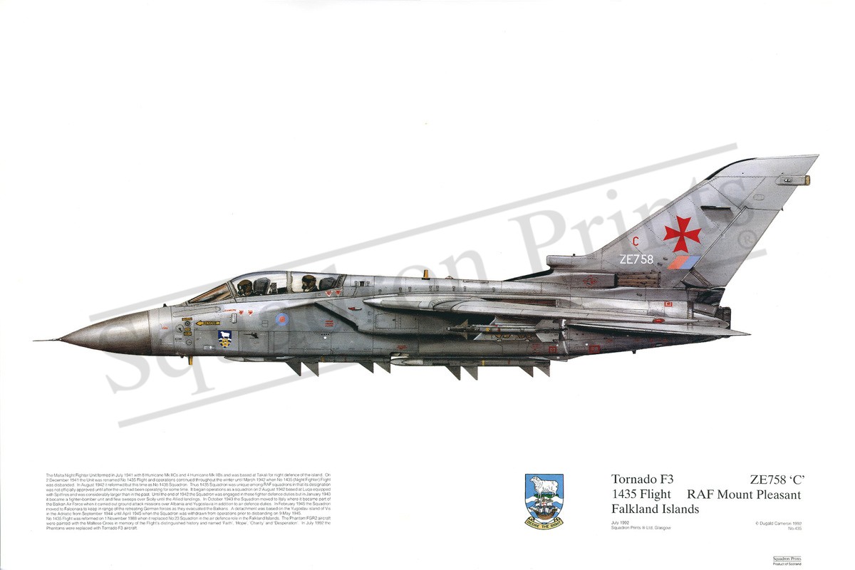 Tornado F3 - Print | Squadron Prints