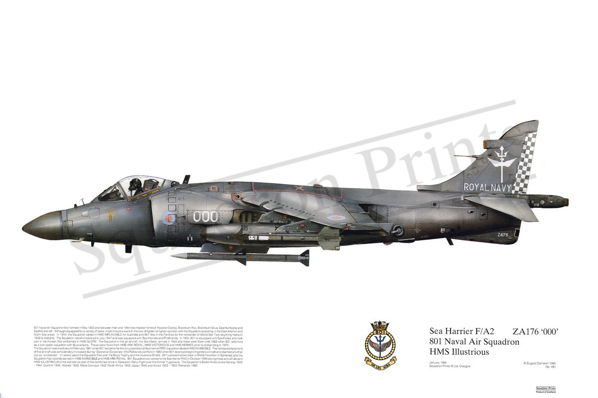 Sea Harrier F A2 - Print 