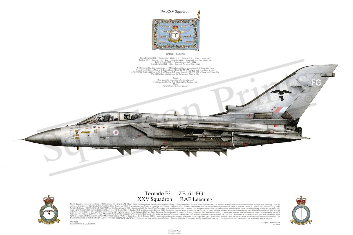 Tornado F3 - Print | Squadron Prints