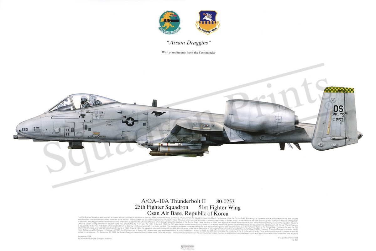 A/OA-10A Thunderbolt II - Print | Squadron Prints