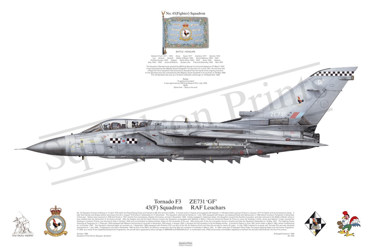 Tornado F3 - Print | Squadron Prints