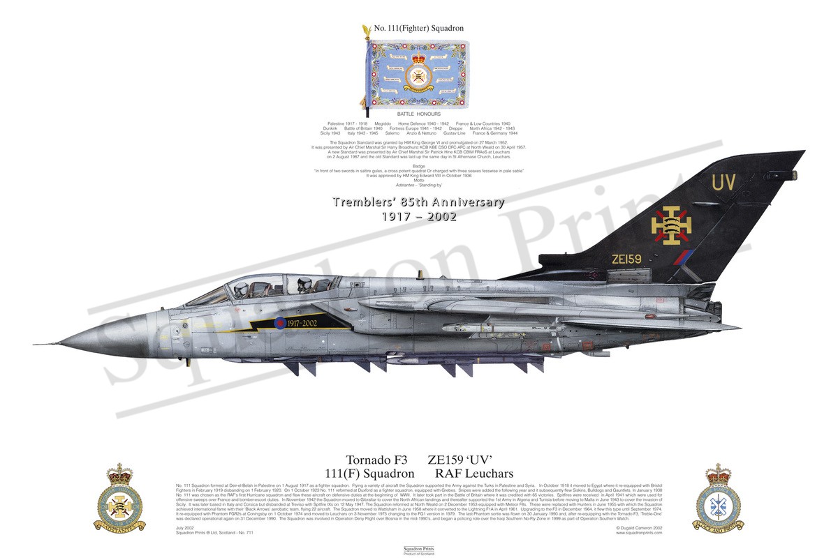 Tornado F3 - Print | Squadron Prints