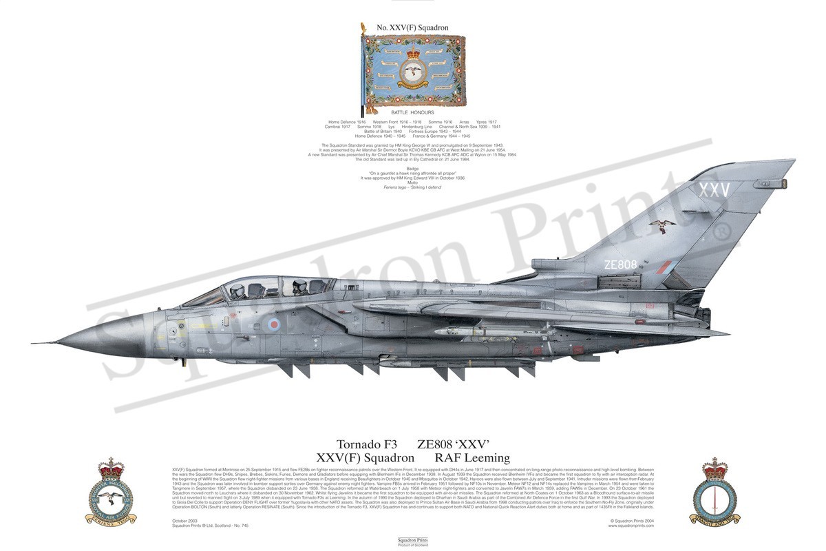 Tornado F3 - Print | Squadron Prints