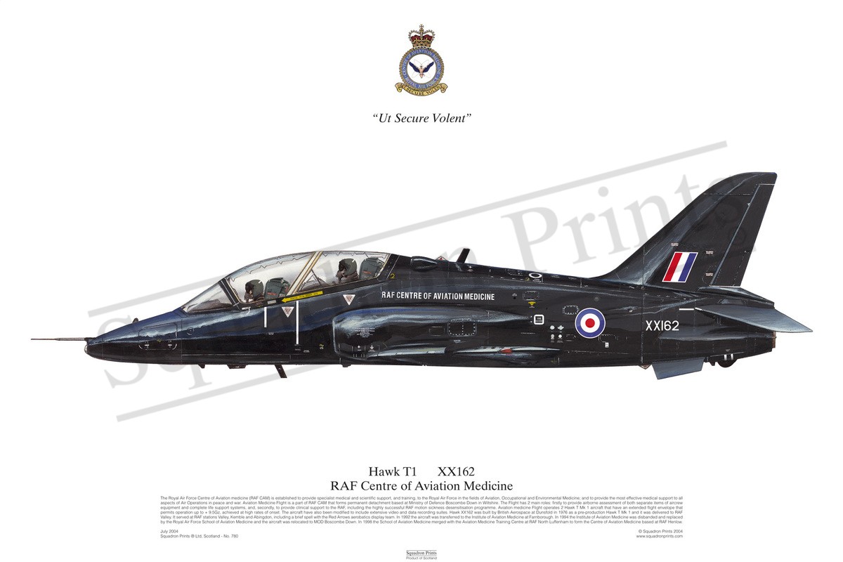 Hawk T1 - Print | Squadron Prints