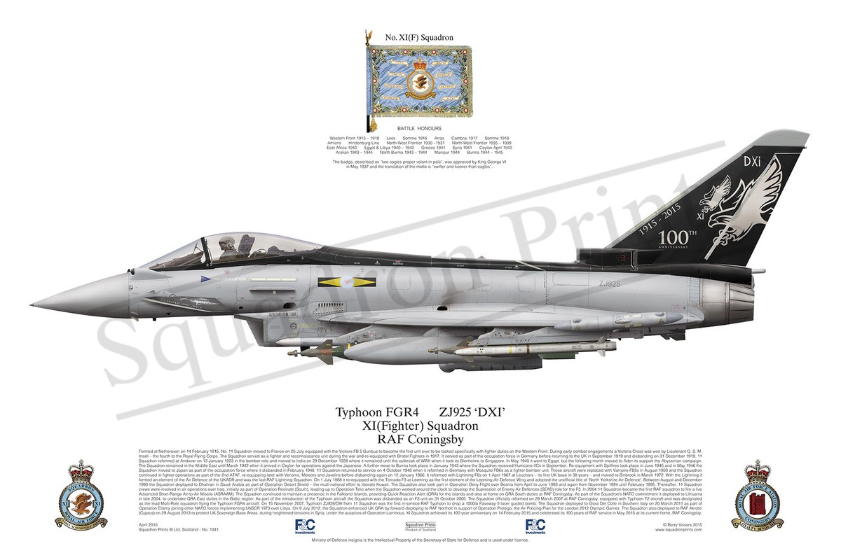 Typhoon FGR4, Centenary - Print | Squadron Prints