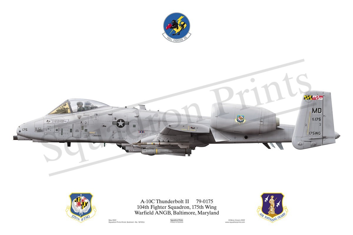 104 FS A-10C Thunderbolt print - Print | Squadron Prints