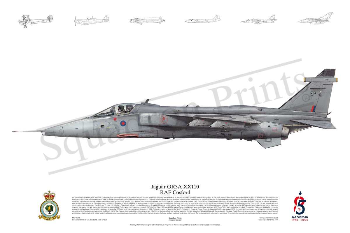 85th Anniversary RAF Cosford print - Print | Squadron Prints